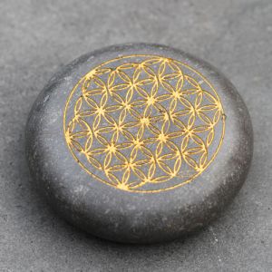 Flower of Life steen