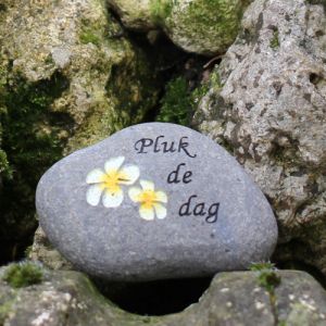 Pluk de dag